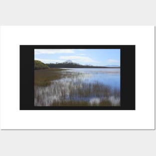 Tasmania, Melaleuca Lagoon Posters and Art